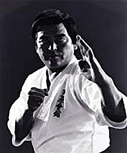 Ashihara Karate - Ashihara Sweden